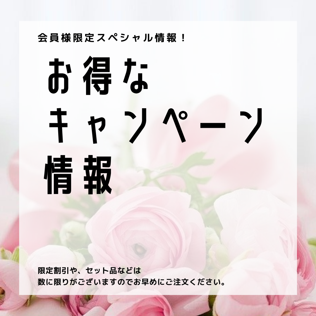 現在のお得情報